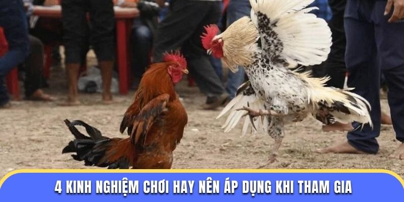 4 kinh nghiệm chơi hay nên áp dụng khi tham gia