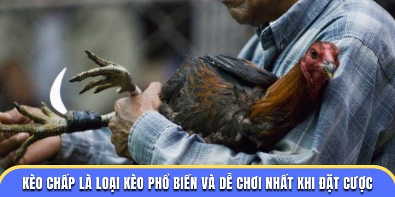 Kèo chấp là loại kèo phổ biến và dễ chơi nhất khi đặt cược