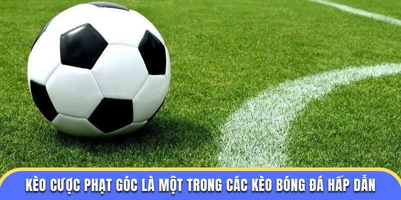 Kèo cược phạt góc là một trong các kèo bóng đá hấp dẫn