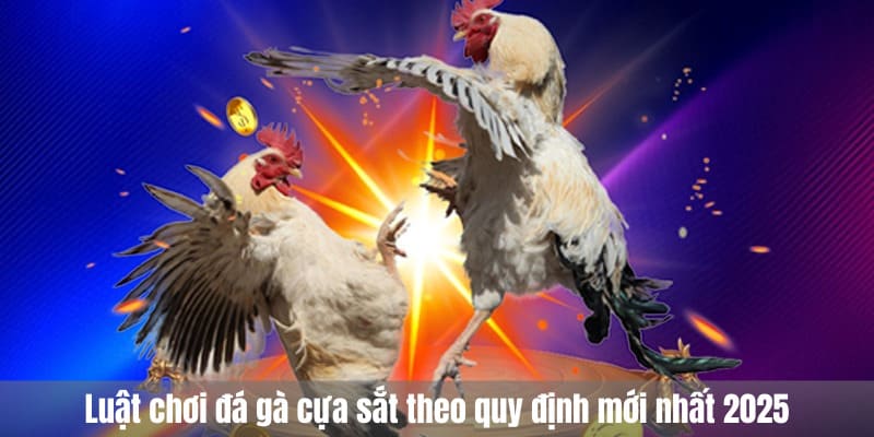 Luật chơi đá gà cựa sắt theo quy định mới nhất 2025