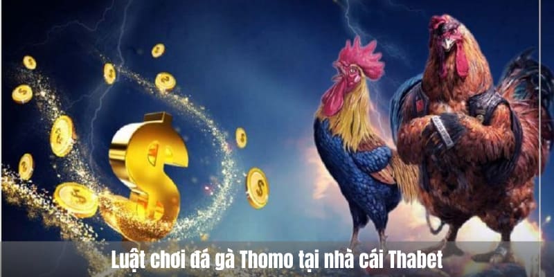 Luật chơi đá gà Thomo tại nhà cái Thabet