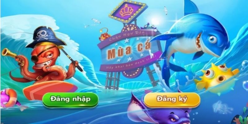 Quy trình săn cá online đơn giản
