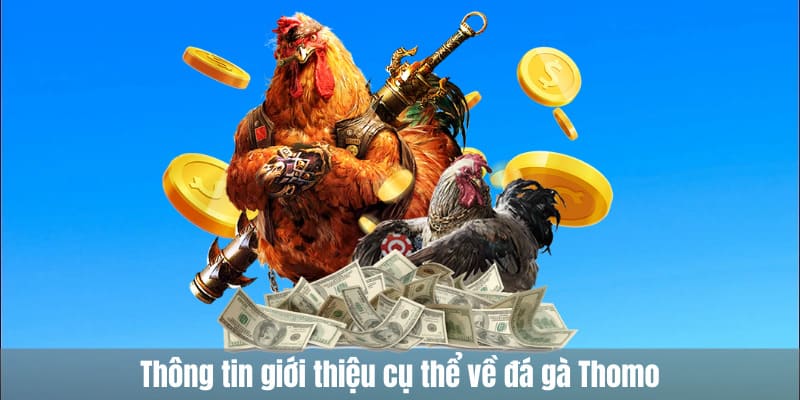 Thông tin giới thiệu cụ thể về đá gà Thomo